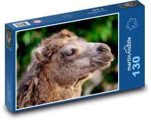 Velbloud dvouhrbý - zvíře, hlava Puzzle 130 dílků - 28,7 x 20 cm