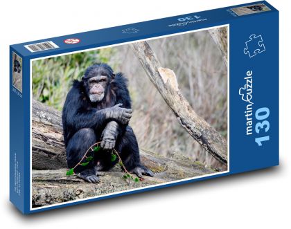 Šimpanz - opice, savec  - Puzzle 130 dílků, rozměr 28,7x20 cm