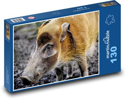 Wildschwein - Schnauze, Tier - Puzzle - 130 Teile