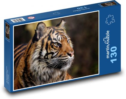 Tygr sumaterský - zvíře, lovec - Puzzle 130 dílků, rozměr 28,7x20 cm