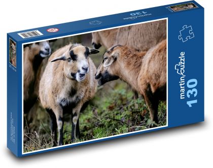 Owca kameruńska - ssak, zwierzę - Puzzle 130 elementów, rozmiar 28,7x20 cm