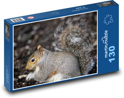 Šedá veverička - hlodavec, cicavec - Puzzle 130 dielikov, rozmer 28,7x20 cm 
