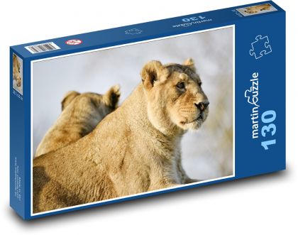 Löwin - große Katze, Tier - Puzzle - 130 Teile