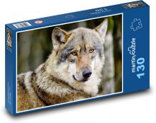 Vlk šedivý - šelma, zvíře Puzzle 130 dílků - 28,7 x 20 cm