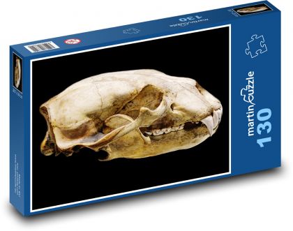 Lebka ledního medvěda - zvíře, savec - Puzzle 130 dílků, rozměr 28,7x20 cm