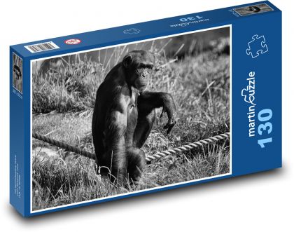 Šimpanz - opice, zoo - Puzzle 130 dílků, rozměr 28,7x20 cm