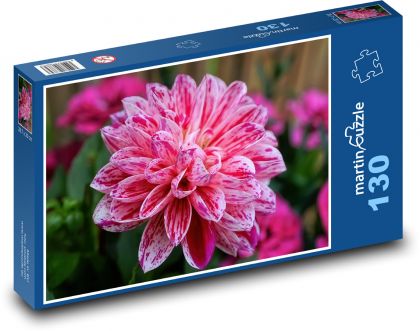 Jiřina - květina, zahrada - Puzzle 130 dílků, rozměr 28,7x20 cm