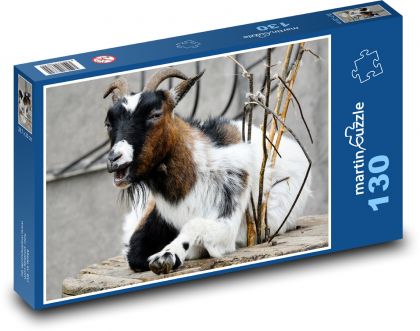 African dwarf goat - animal, farm - Puzzle 130 pieces, size 28.7x20 cm 