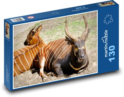 Antelope bongo - striped animal, zoo - Puzzle 130 pieces, size 28.7x20 cm 