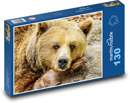 Braunbär - Tier, Zoo - Puzzle - 130 Teile