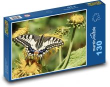 Motýľ na kvete - opeľovanie, hmyz Puzzle 130 dielikov - 28,7 x 20 cm 