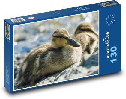 Kačice - vodné vtáctvo, vtáky - Puzzle 130 dielikov, rozmer 28,7x20 cm 