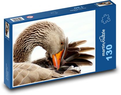 Divoká husa - vodní pták, zvíře  - Puzzle 130 dílků, rozměr 28,7x20 cm