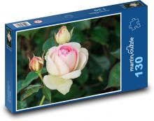 Ruže - kvet, záhrada Puzzle 130 dielikov - 28,7 x 20 cm 