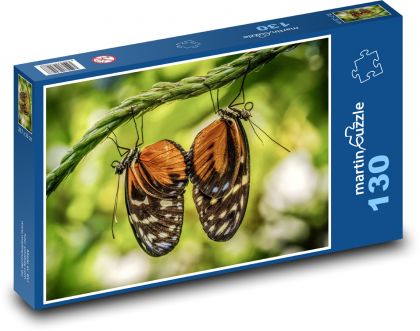 Motýli - hmyz, párování - Puzzle 130 dílků, rozměr 28,7x20 cm