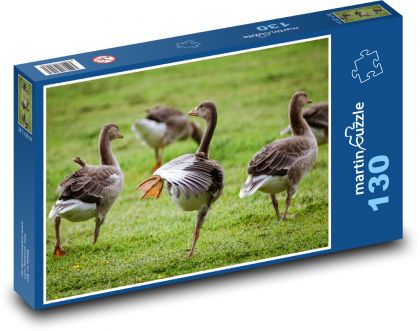 Grey geese - birds, nature - Puzzle 130 pieces, size 28.7x20 cm 