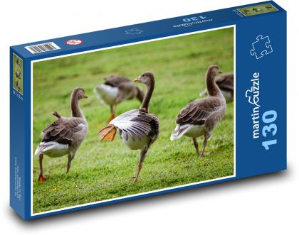 Gęsi szare - ptaki, przyroda - Puzzle 130 elementów, rozmiar 28,7x20 cm
