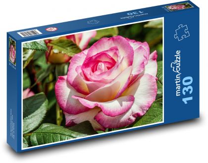 Ušlechtilá růže - květ, zahrada - Puzzle 130 dílků, rozměr 28,7x20 cm