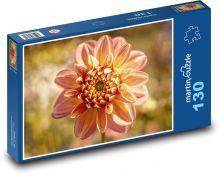 Jiřina - květ, zahrada Puzzle 130 - 28,7x20 cm