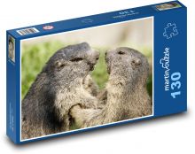Świstak - gryzoń, zwierzę Puzzle 130 elementów - 28,7x20 cm