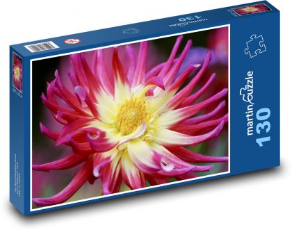 Jiřina - podzimní květina, zahrada - puzzle 130 dílků