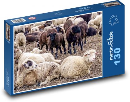Schafherde - Tiere, Rinder - Puzzle - 130 Teile