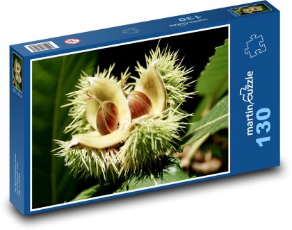 Kastanie - Herbst, Muschel - Puzzle - 130 Teile