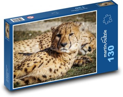 Gepardi - divoká zvířata, savci - Puzzle 130 dílků, rozměr 28,7x20 cm