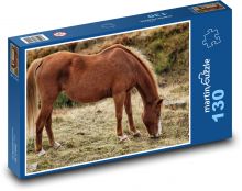 Hnedý kôň - zviera, príroda Puzzle 130 dielikov - 28,7 x 20 cm 