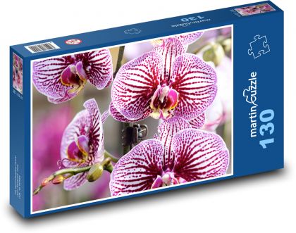 Orchidej - růžový květ, rostlina - puzzle 130 dílků