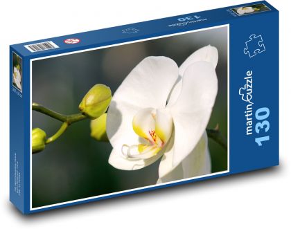 Bílá orchidej - květ, rostlina - Puzzle 130 dílků, rozměr 28,7x20 cm