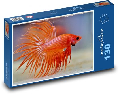 Aquarium fish - betta warrior, animal - Puzzle 130 pieces, size 28.7x20 cm 