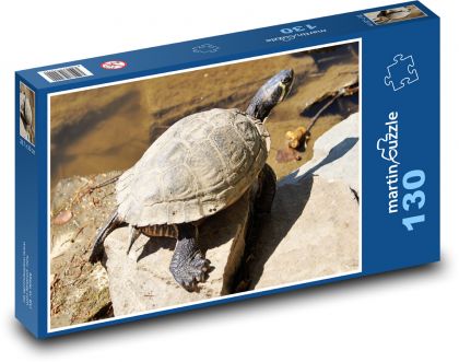 Water turtle - animal, pond - Puzzle 130 pieces, size 28.7x20 cm 