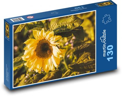 Slunečnice - žlutý květ, okvětní lístky - Puzzle 130 dílků, rozměr 28,7x20 cm