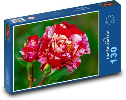 Ruže - kvet, kvet - Puzzle 130 dielikov, rozmer 28,7x20 cm 