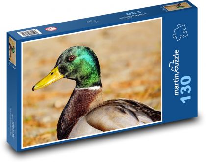 Divoká kachna - kačer, pták - Puzzle 130 dílků, rozměr 28,7x20 cm