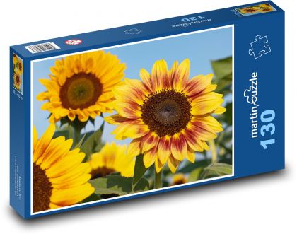 Slunečnice - okvětní lísty, květ - Puzzle 130 dílků, rozměr 28,7x20 cm