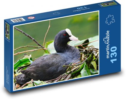 Łyska - ptak wodny, zwierzę - Puzzle 130 elementów, rozmiar 28,7x20 cm