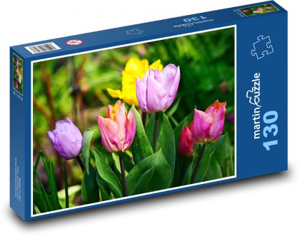 Tulipán - barevný květ, květiny - Puzzle 130 dílků, rozměr 28,7x20 cm
