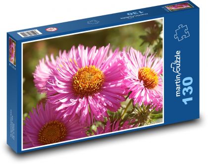 Rosa Blumen - Aster, Pflanzen - Puzzle - 130 Teile