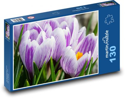 Krokusy - kvety, záhrada - Puzzle 130 dielikov, rozmer 28,7x20 cm 