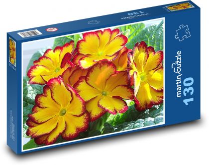 Primulka - petrklíč, květina - Puzzle 130 dílků, rozměr 28,7x20 cm