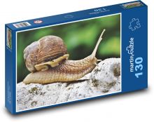 Snail - shellfish, crawling Puzzle 130 pieces - 28.7 x 20 cm 