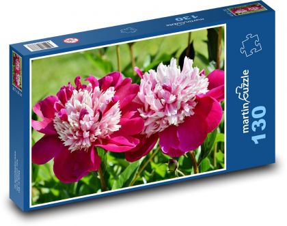 Pfingstrose - Blume, Frühling - Puzzle - 130 Teile