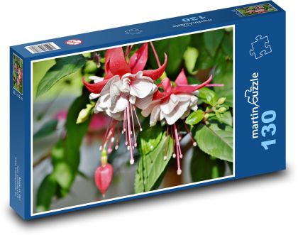 Fuchsia - kvet, rastlina - Puzzle 130 dielikov, rozmer 28,7x20 cm 
