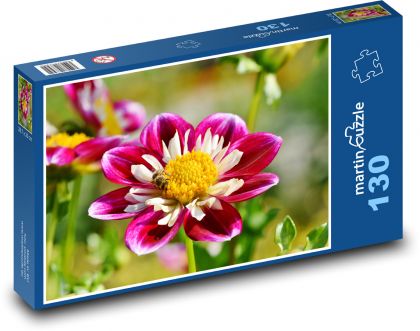 Cínie - letní květina, kytka  - Puzzle 130 dílků, rozměr 28,7x20 cm