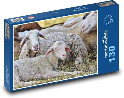 Sheep - lamb, young - Puzzle 130 pieces, size 28.7x20 cm 