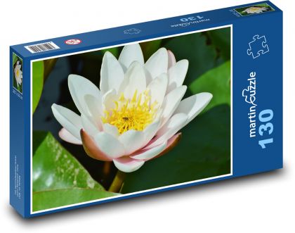 Leknín - vodní květina, rybník - Puzzle 130 dílků, rozměr 28,7x20 cm