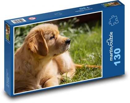 Pes - zlatý retriever, štěně - Puzzle 130 dílků, rozměr 28,7x20 cm