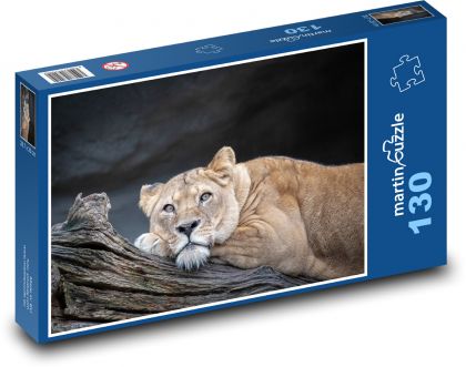 Lioness - big cat, lion - Puzzle 130 pieces, size 28.7x20 cm 